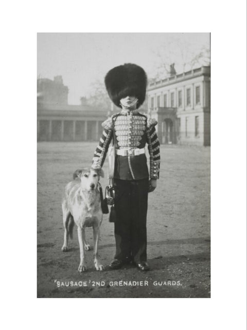 Sausage' the Grenadier Guards regimental mascot with a bugler