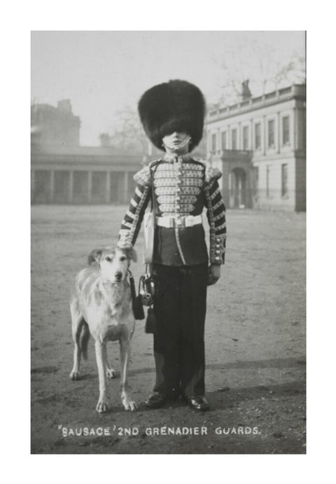 Sausage' the Grenadier Guards regimental mascot with a bugler