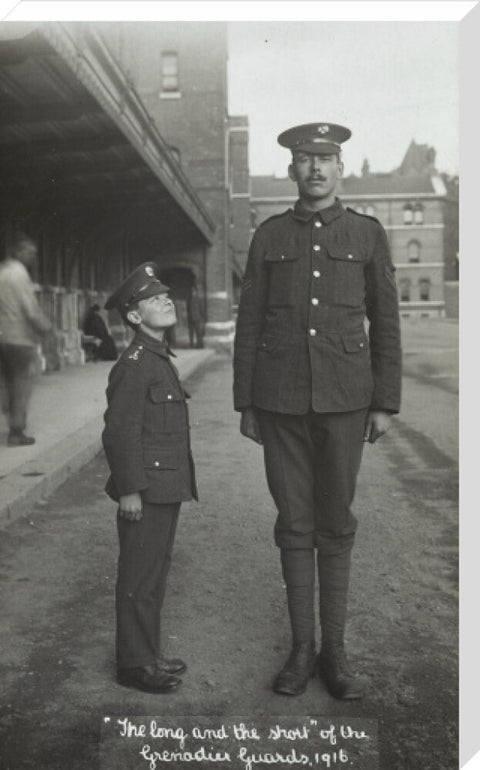 The Long and the Short of the Grenadier Guards