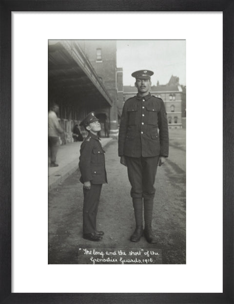 The Long and the Short of the Grenadier Guards