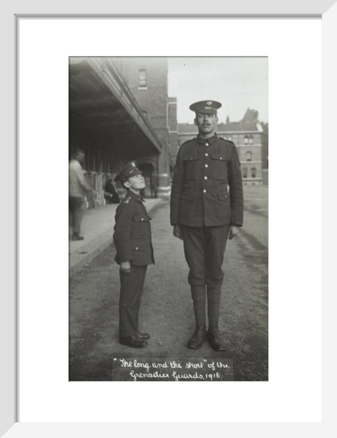 The Long and the Short of the Grenadier Guards