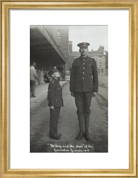 The Long and the Short of the Grenadier Guards