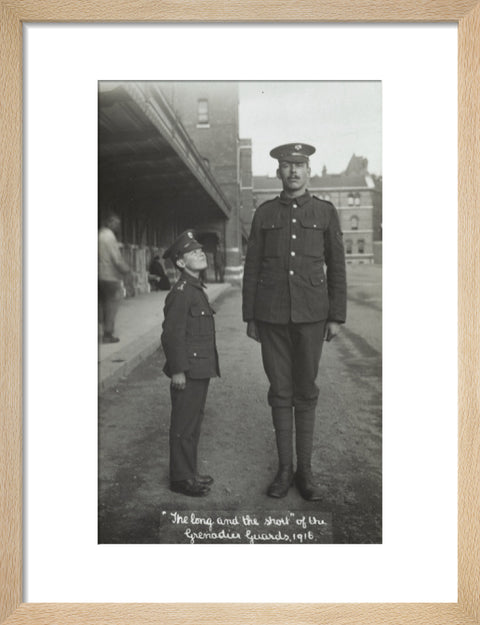 The Long and the Short of the Grenadier Guards