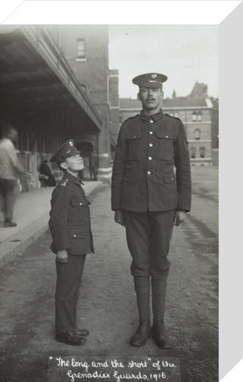 The Long and the Short of the Grenadier Guards