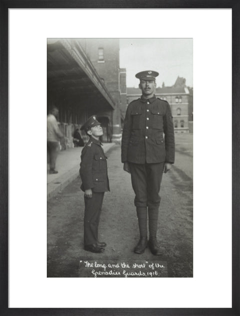 The Long and the Short of the Grenadier Guards