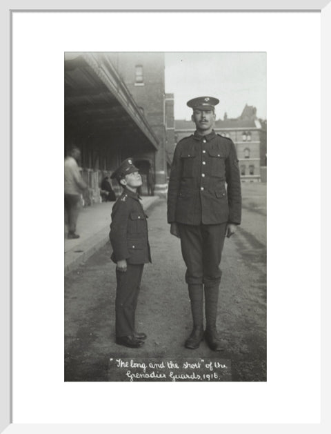 The Long and the Short of the Grenadier Guards