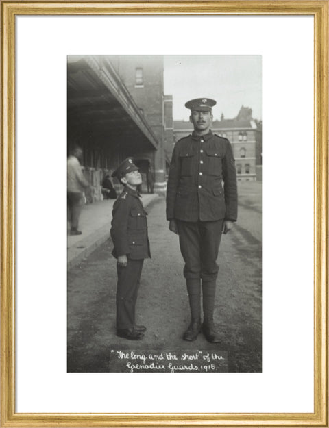 The Long and the Short of the Grenadier Guards