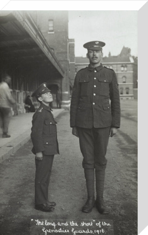 The Long and the Short of the Grenadier Guards