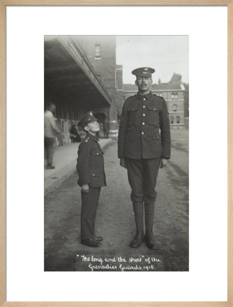 The Long and the Short of the Grenadier Guards