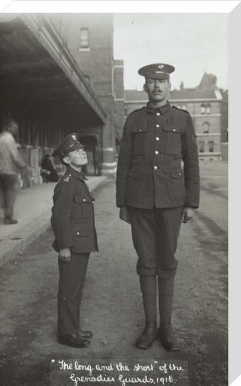 The Long and the Short of the Grenadier Guards